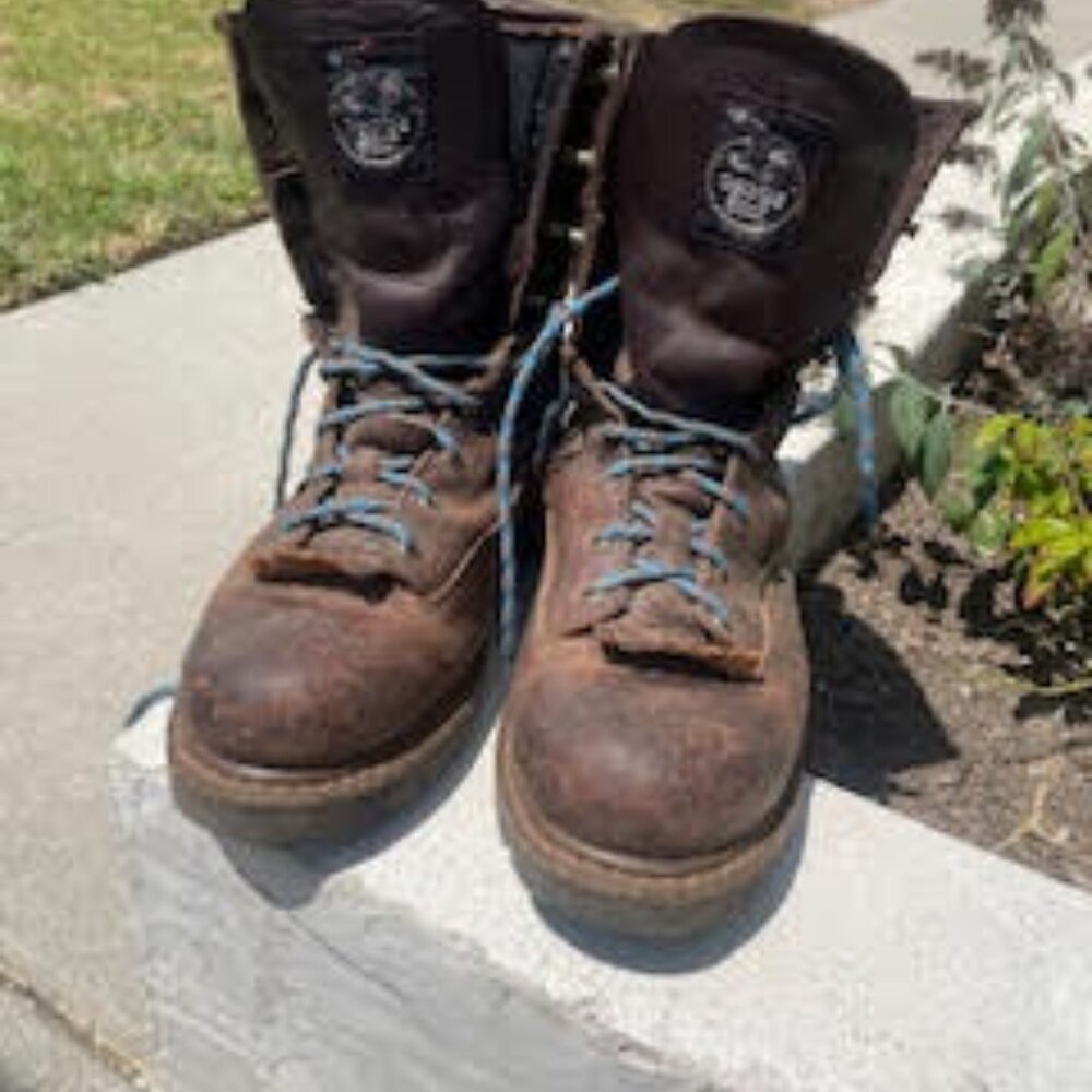 Georgia loggers - 10.5